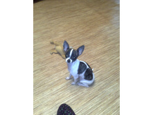 ����������� 105.jpg