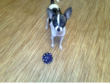 ����������� 119.jpg