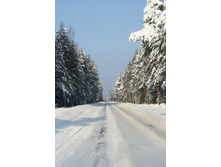 ������ ��ͣ���-������