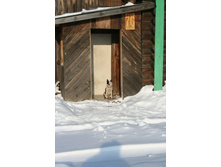 �����-����� У�