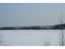 ������� ���