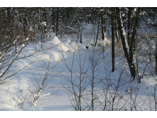 �. ��������