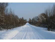 ������ ������-���������