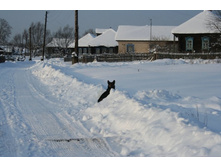 �������� У�