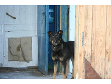 ����������� У�