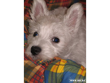 ��������� ��� � ������� :)