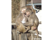����� � ������� 05,02,2007