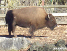 ����� � ������� 05,02,2007