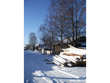 ���� �����