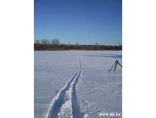 ���� ����� �������