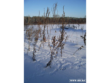 ����� ���� ������ :)