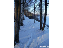 ����� ����� ������ �������