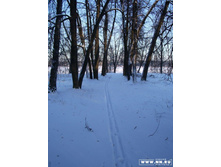 ����� � �����