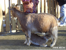 ����� � �������