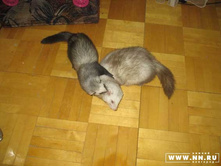 ����� ����!!