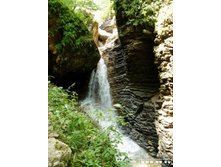 ������ �������