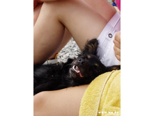 ���� :) ������ ���������� :)