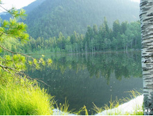 ������ �����