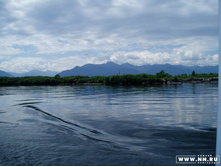 ������ ����������� ��������