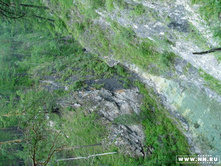 ������� ����