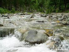 ���������������������