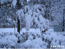 ���� ����