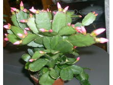 �������������