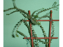 �.���������