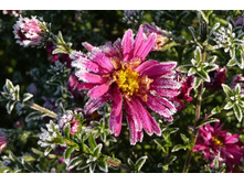 ���� �� ������.JPG