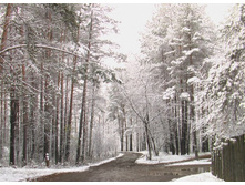 ������ ����.JPG