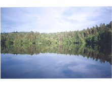 �����. ���������.