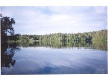 ����� �����