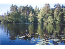 �� �����