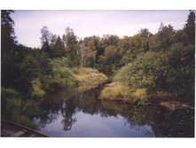 ������. ����� �������� � ��������