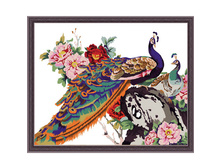 MG110_��������� �������.jpg