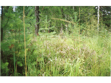 �������.