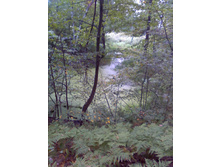 �������� �������.