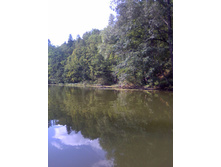 ���� � �������.