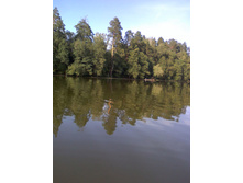 ��������.