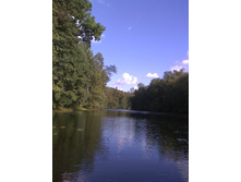 �� ������.