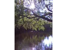 �� ������. �������.