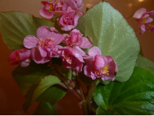 �������� ������������� �������