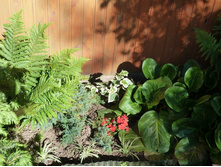 ��������� � ���