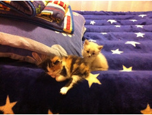 ������� �� �����