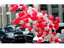 ������ ������� � ������ � ����-������������ �������.���� ������ ������� ��� ������� �� �������.��� ������ �� �����.� ����� ��� ������ ������������-������ ��������.jpg