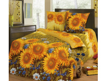 ��� - ���� - ������������ �������� - \"��������\"