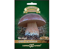 ����� ���� ��������, 66���.jpg