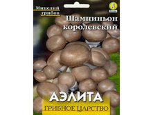 ��������� ���������� �� ����������, 60 ��, 60���.