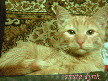 ��������-�