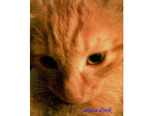 �� ����� ������������!!!